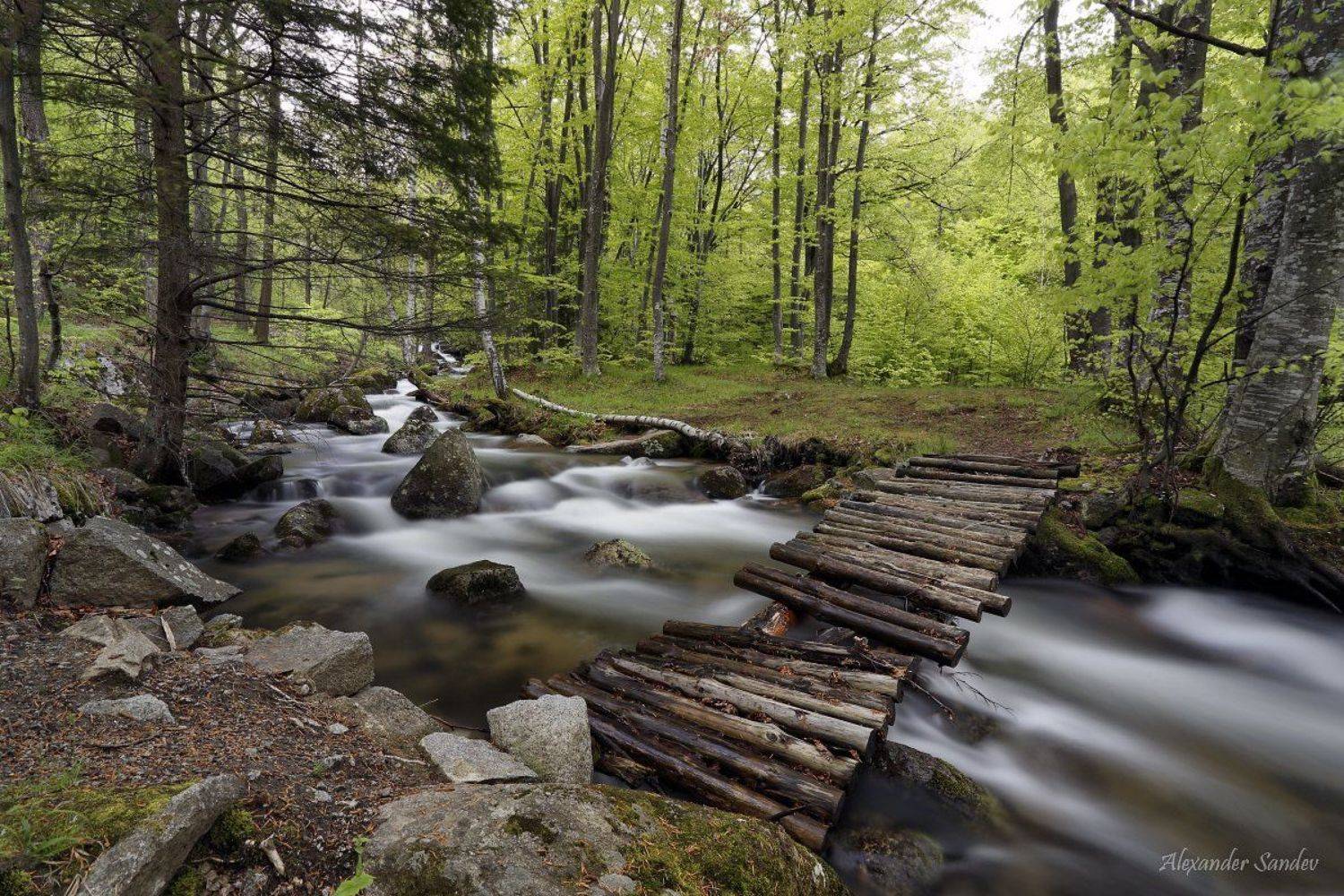 , Александър Сандев