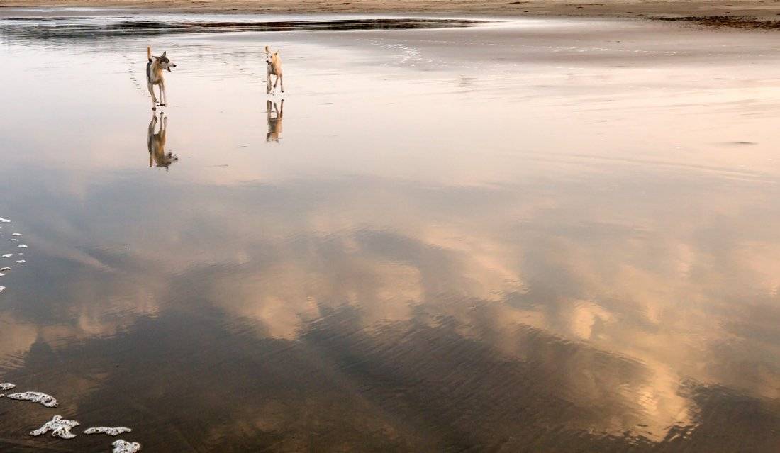 не чувстве те ли вы себя иногда такими же  беззаботными и счастливыми как в детстве, летящими среди облаков?, Людмила Прокофьева
