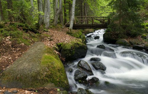 Старата Река