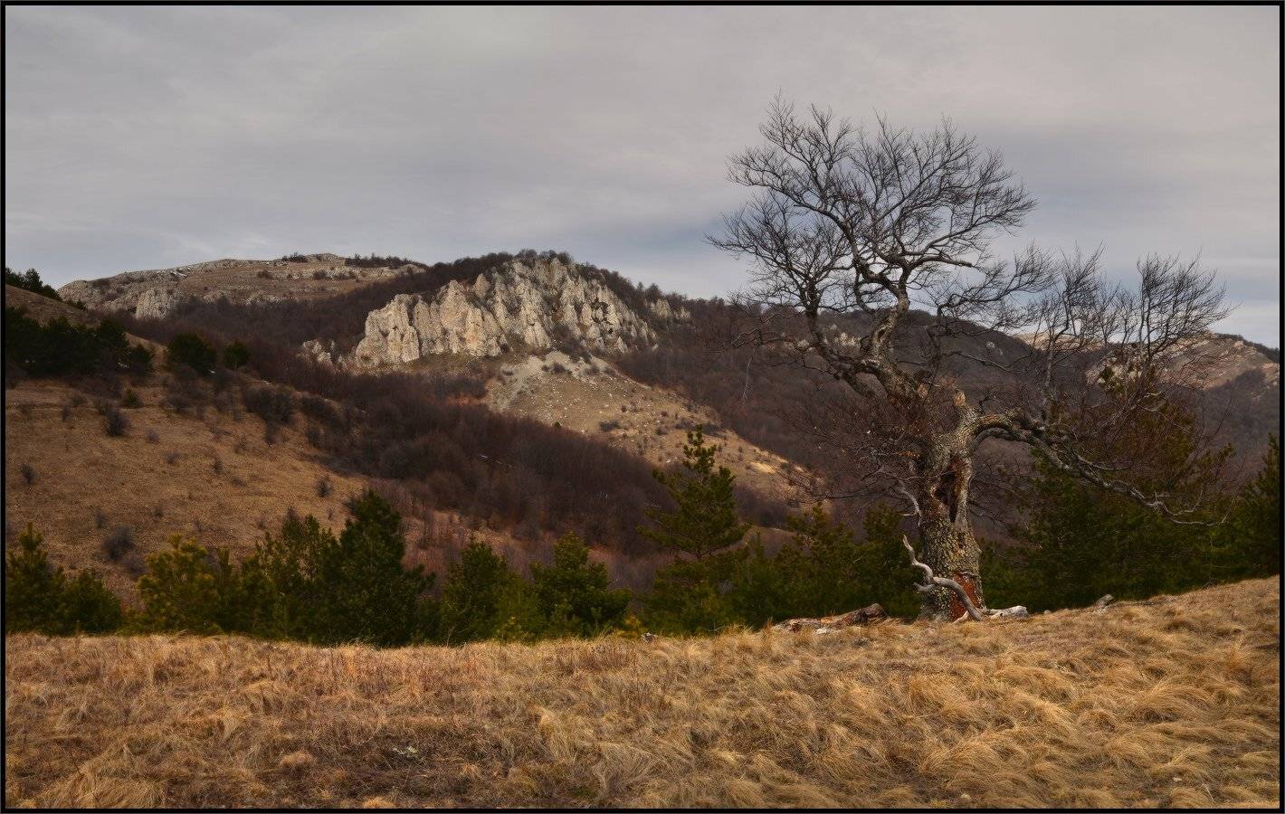 Зима, Крым, Ущелье Джурла, Владимир Метцгер