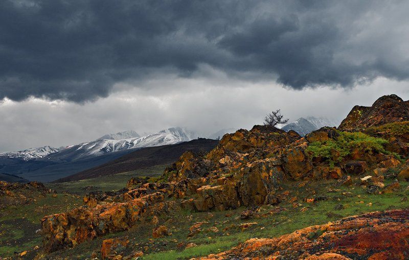 Варакушка, Горы, Краски, Озеро, Пасмурно, Пейзаж, Перевал, Поползень, Птицы, Путешествие, Сибирь, Степь, Утро, Чекан  фото превью