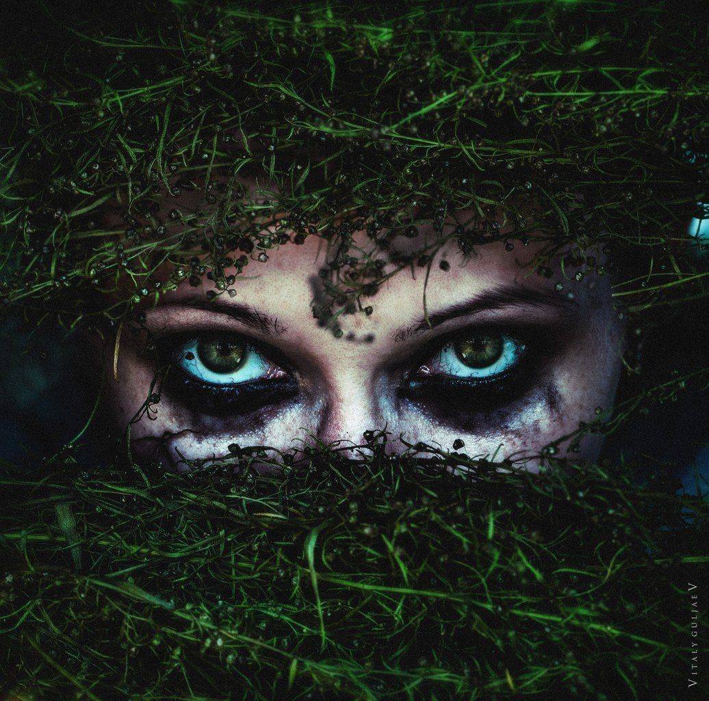 , Виталий Гуляев