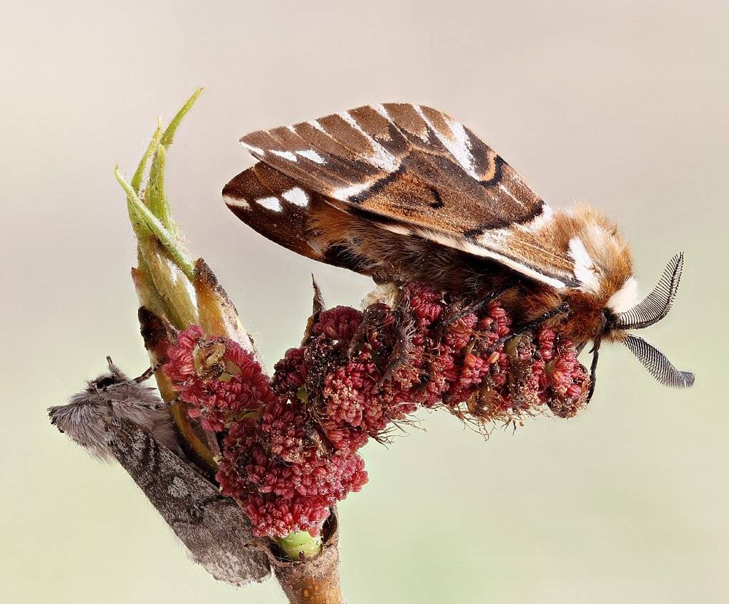 , Сергей Таланов