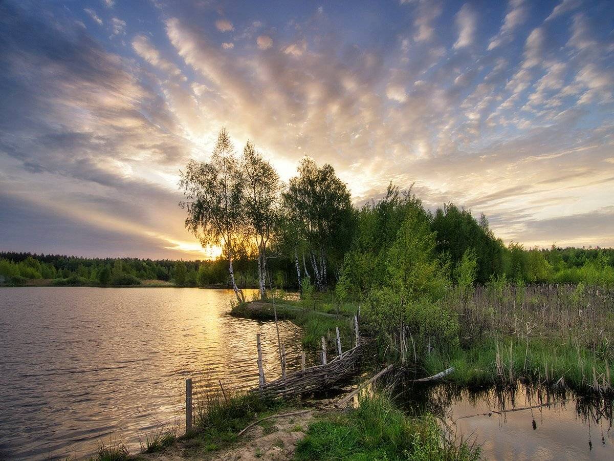 , Марина Брыдня