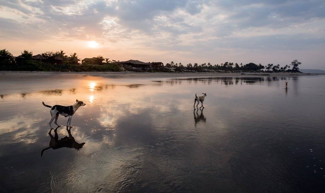 , Людмила Прокофьева