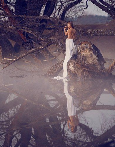 тихие туманы