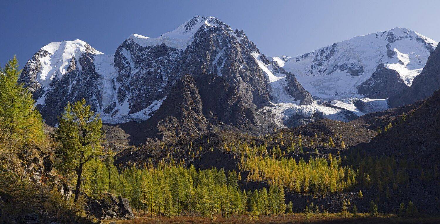 , Лещёнок Александр