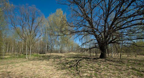PRO аккорды Мещёрской весны…