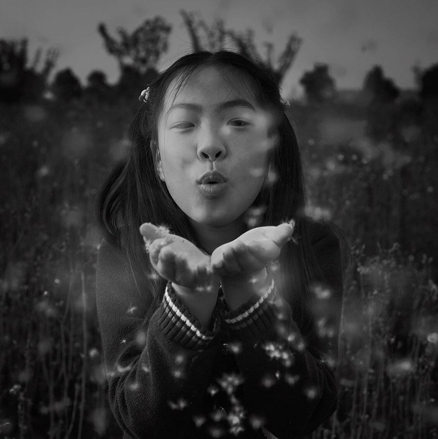 , yelangzhong