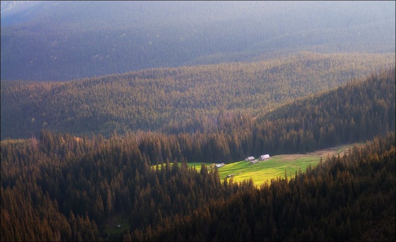 Доброе утро фото превью