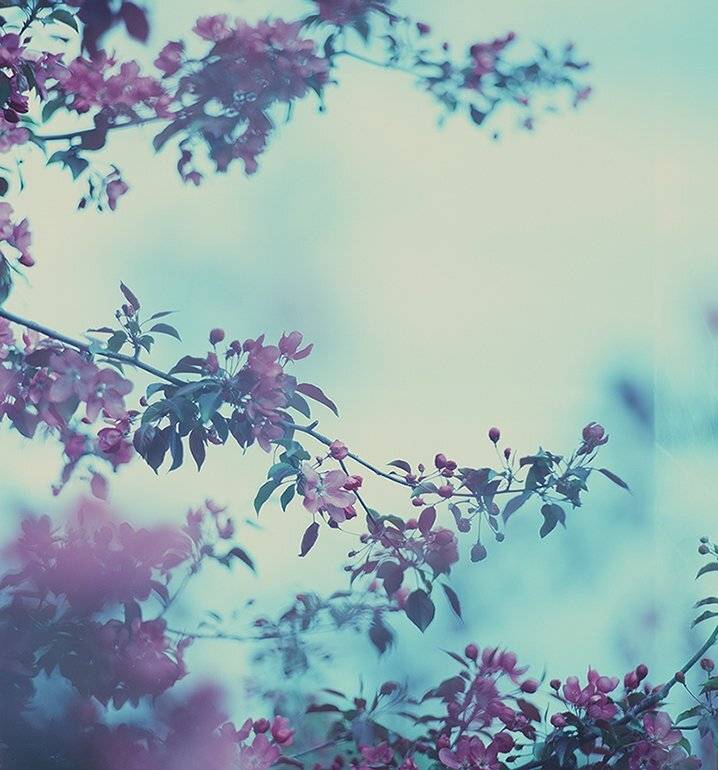 , Ефремов Андрей  not a gentleman