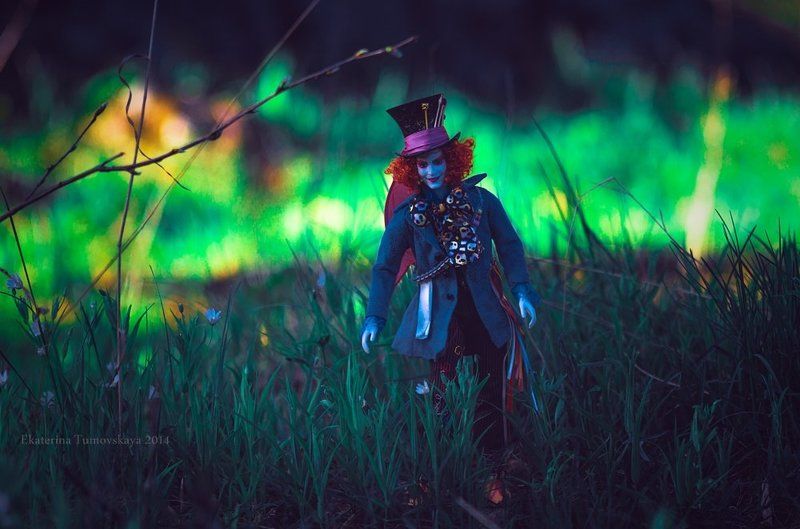 in Wonderland фото превью