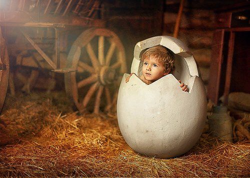 Взгляд на удивительный мир