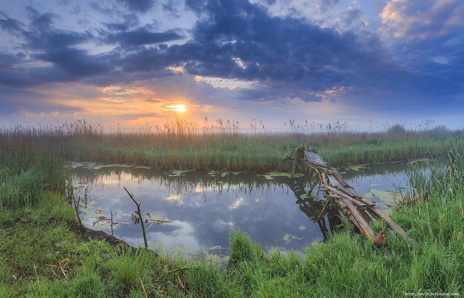 , Антон Петрусь