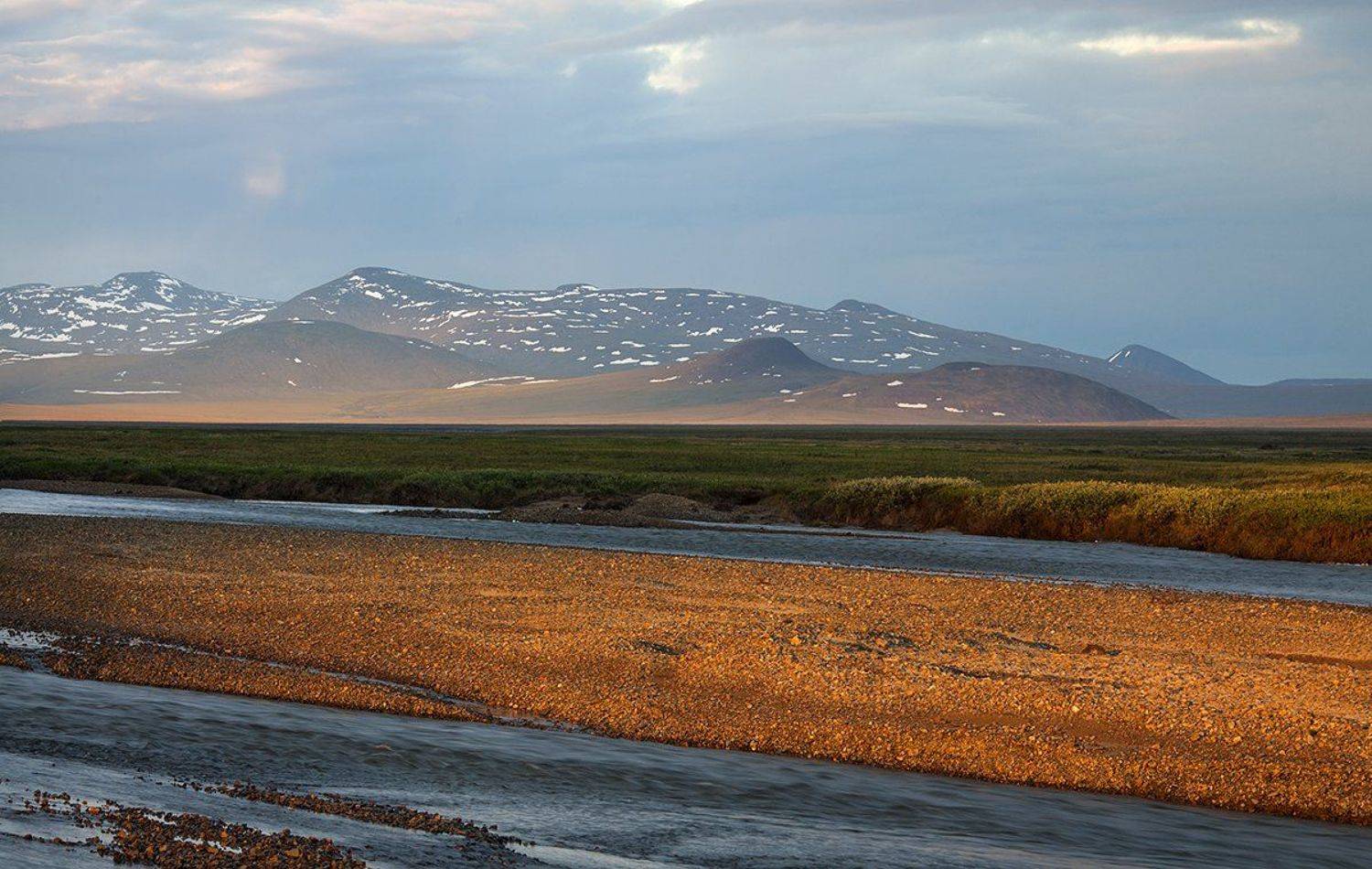 лето, чукотка, Сергей Шульга
