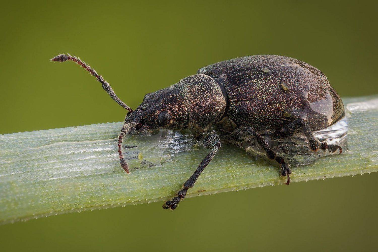 , Вадим Ходаковский