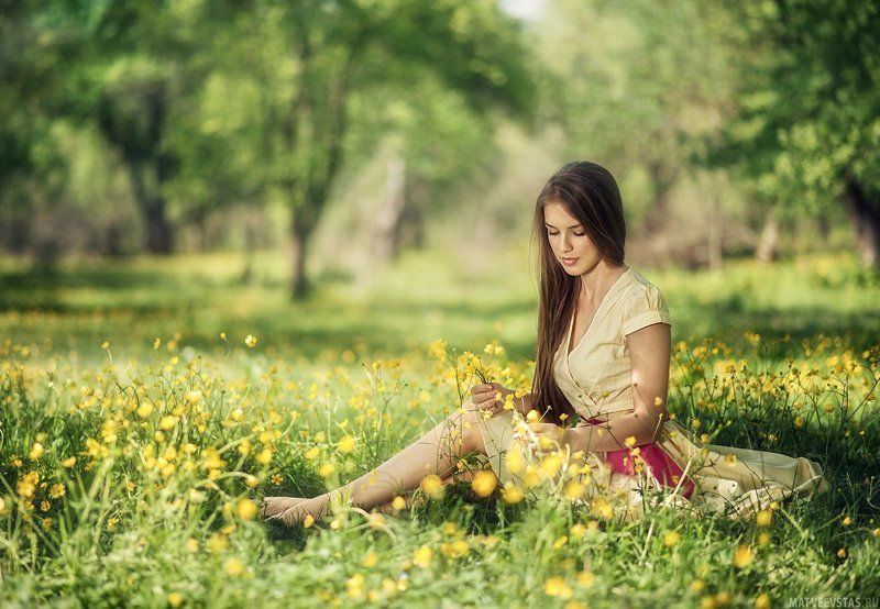 Поле, Цветы *** фото превью