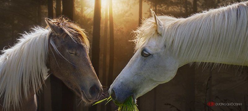 Love фото превью