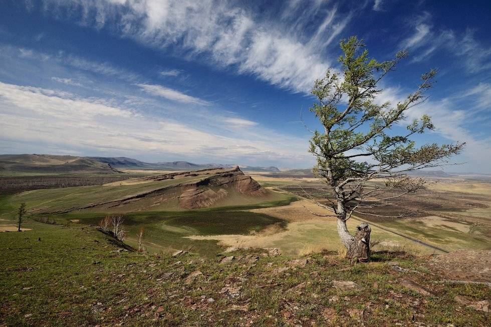 , Михаил Зверев