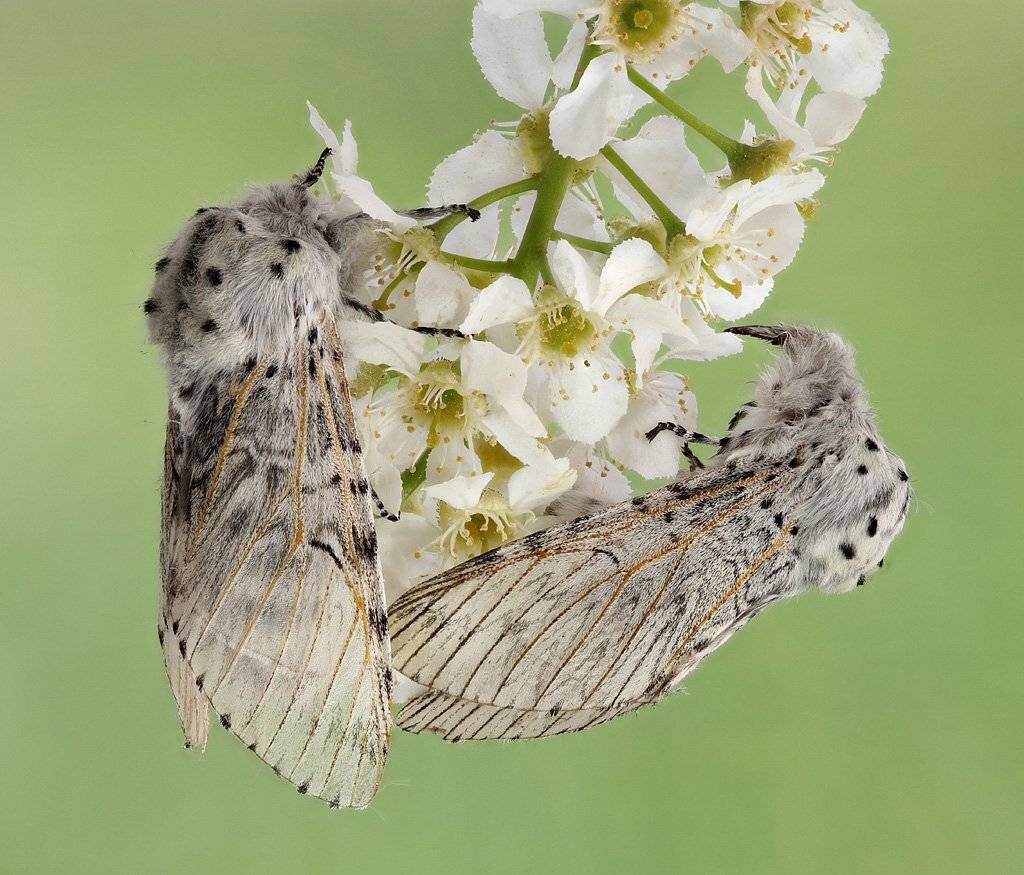 , Сергей Таланов