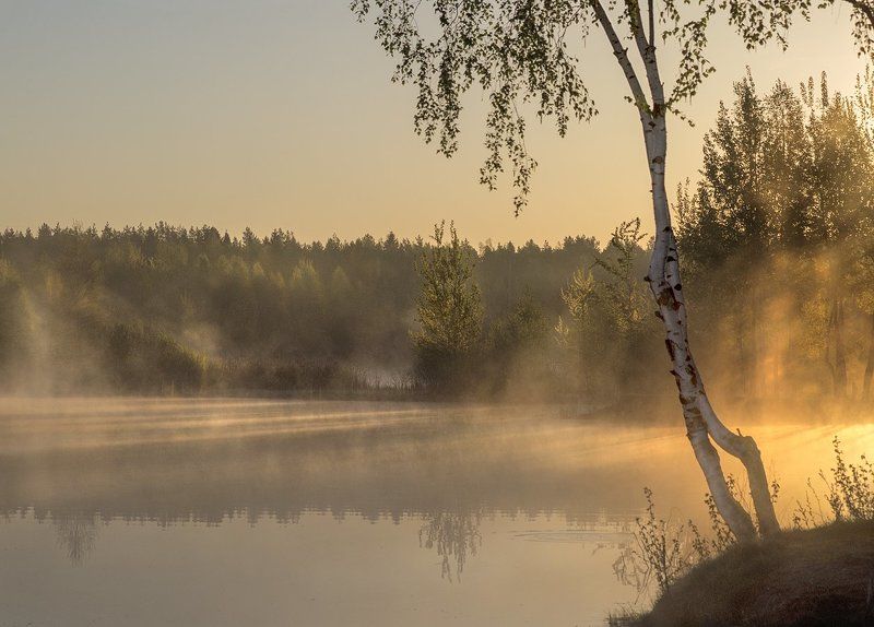 Первые лучи фото превью