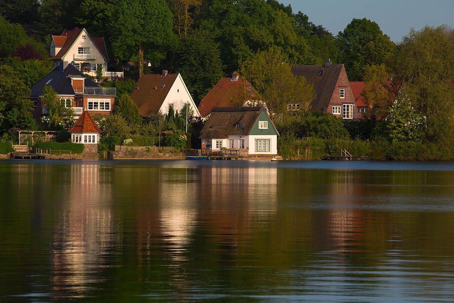 , Игорь Дубровский