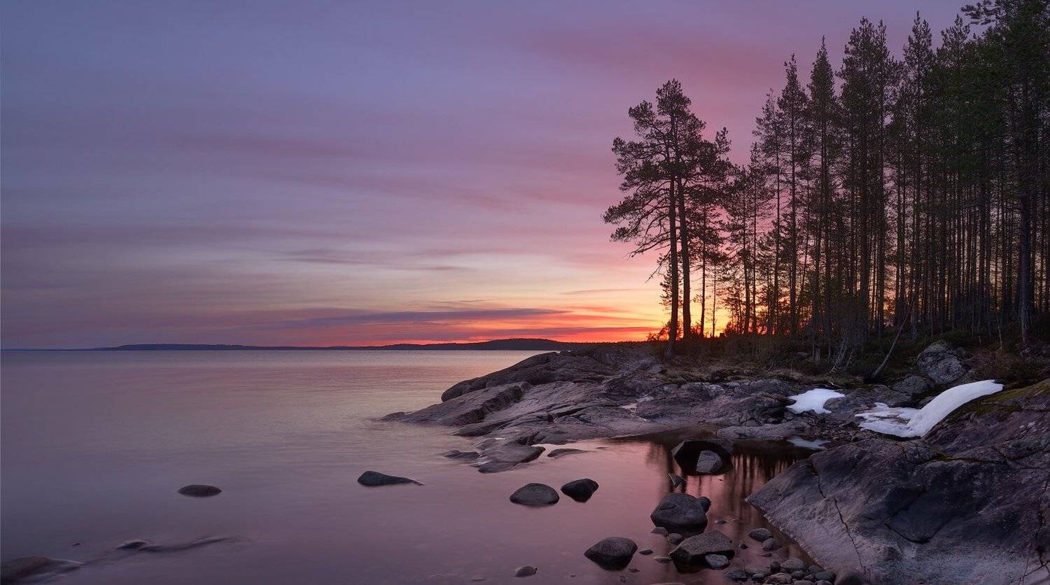 , Максим Евдокимов