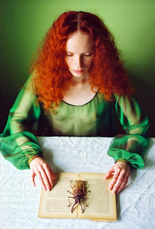 Amore e Morte фото превью