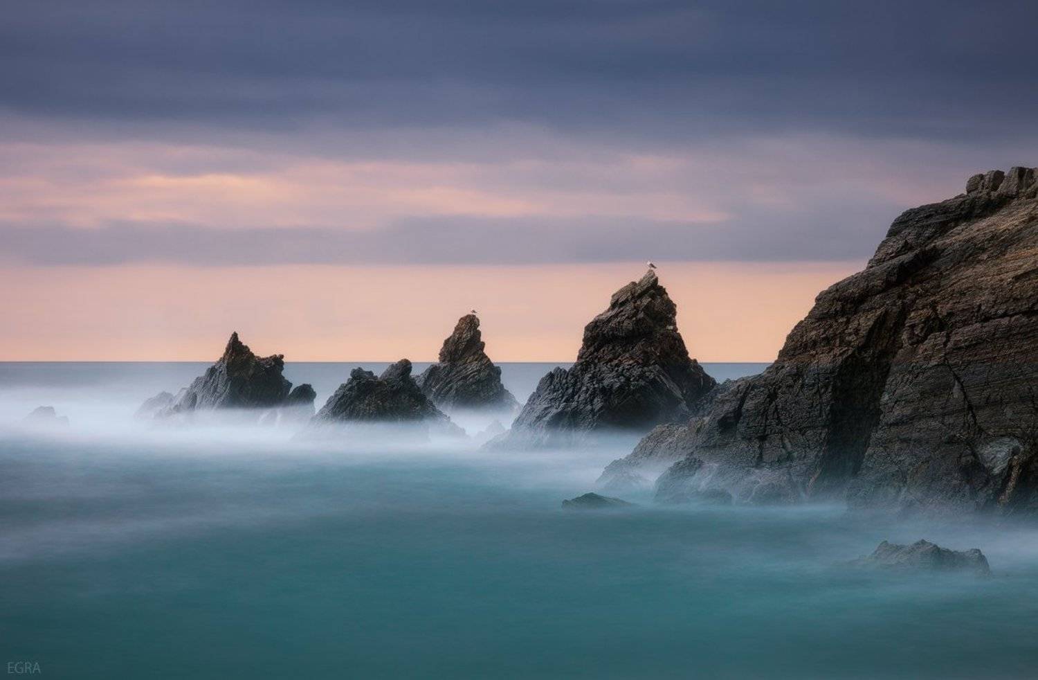 атлантический, Испания, океан, Чайка, EGRA : ЕГРА