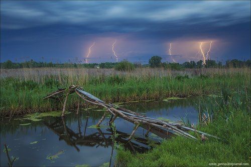Вечерний гром