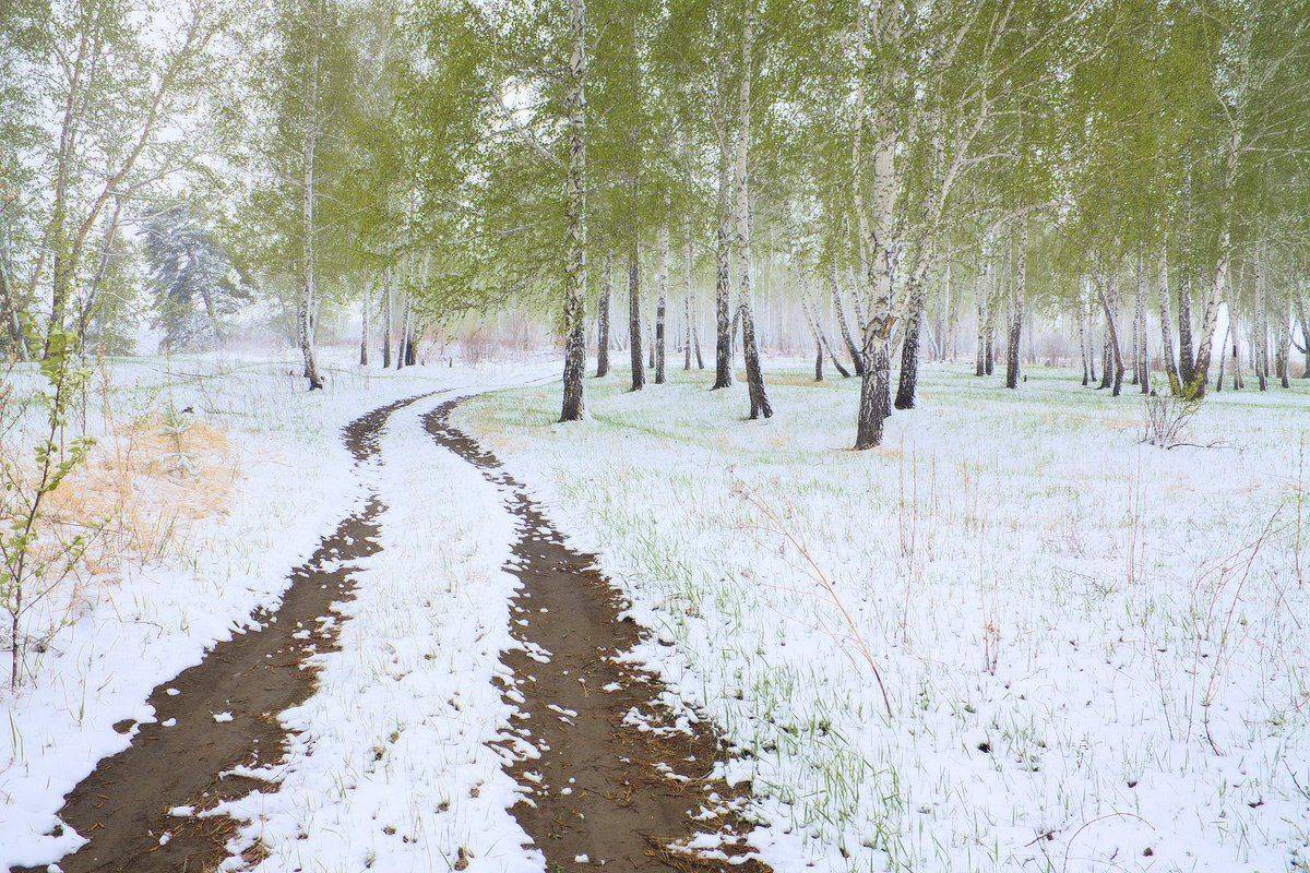 , Николай Морский