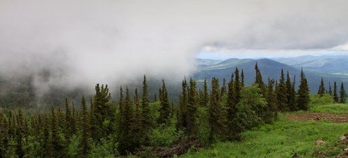 Прогулка в облаках
