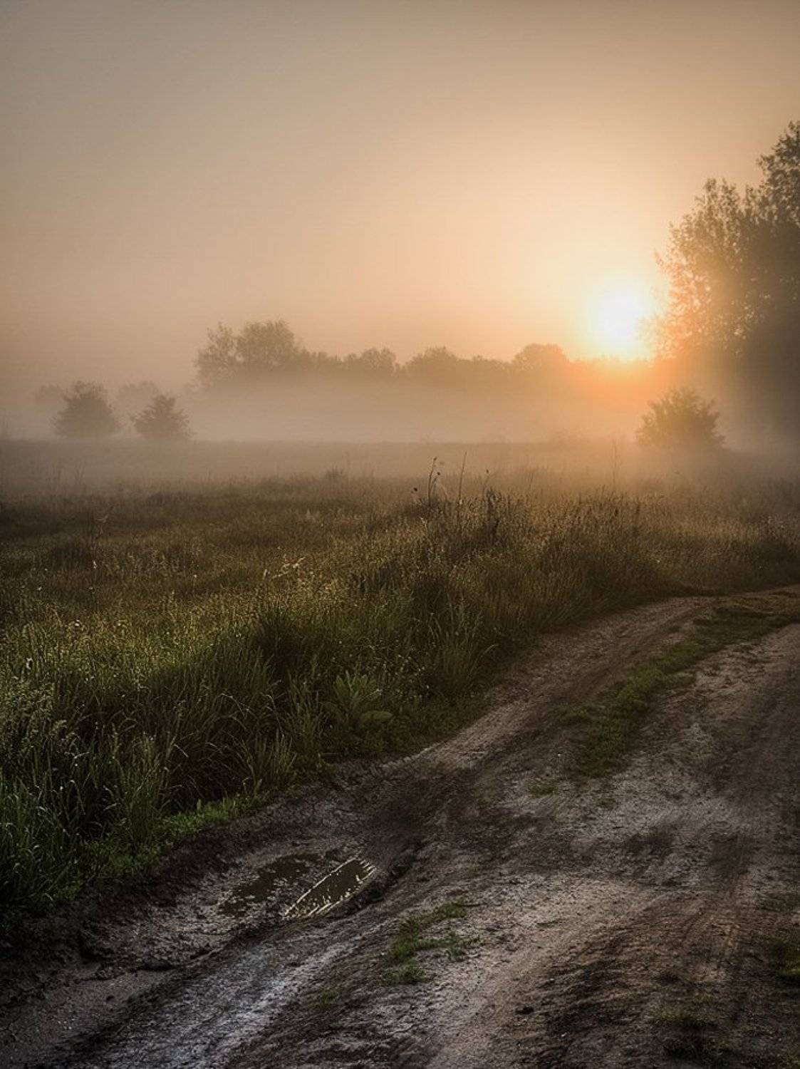 Утро восход, Владимир Костылев