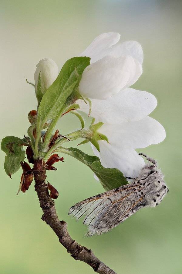 , Сергей Таланов