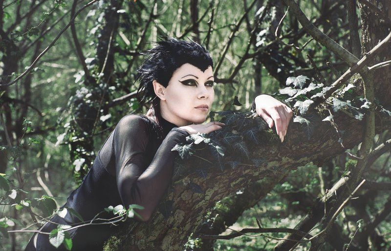 raven фото превью