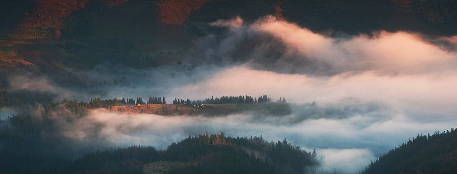 , Денис Кривой