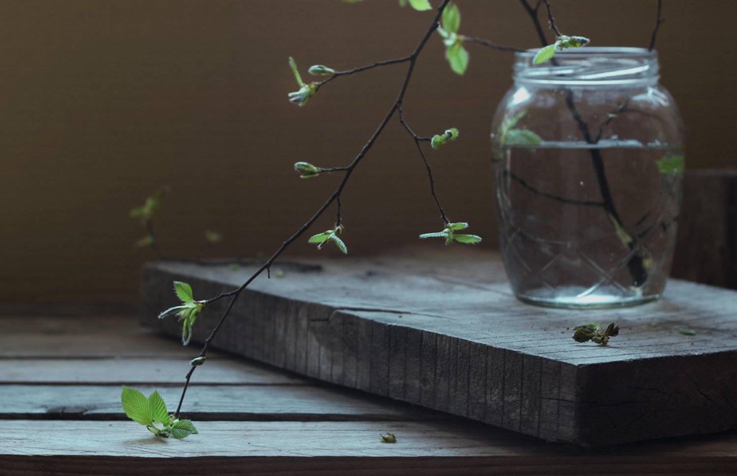 , Киливник Наталия(Metron)