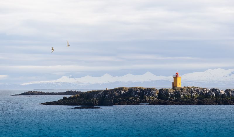 прощай, дюранга... фото превью