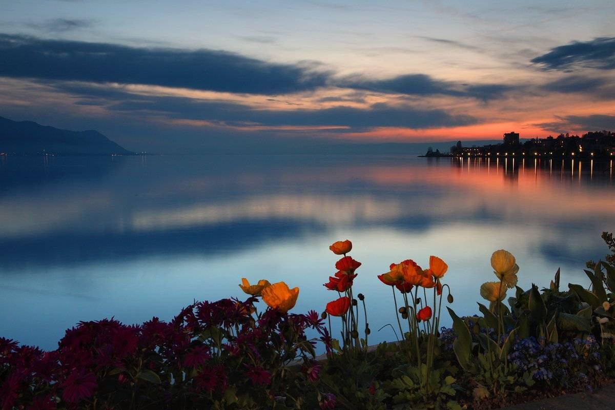 swiss,montreux, Матвеев Николай