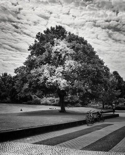 Берлин. Черно-белая серия.