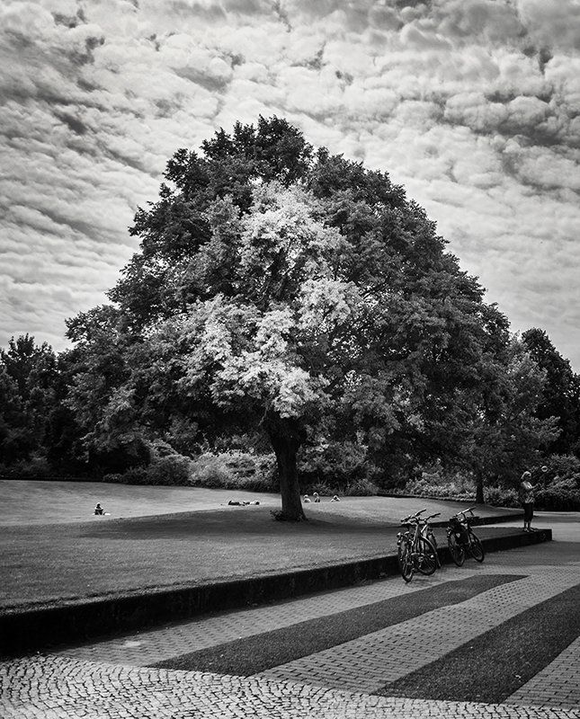Берлин. Черно-белая серия. фото превью