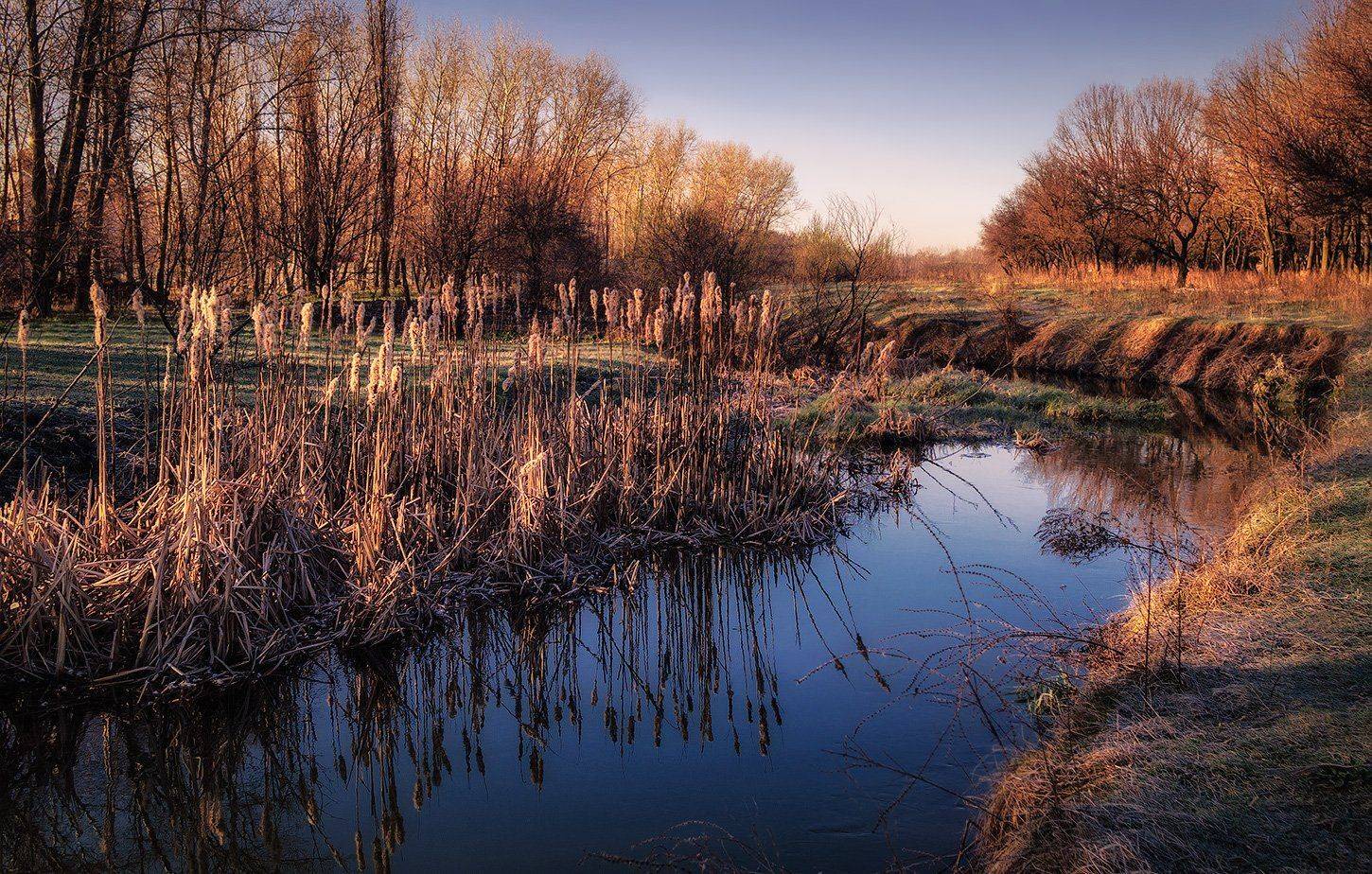 , Игорь Мелекесцев