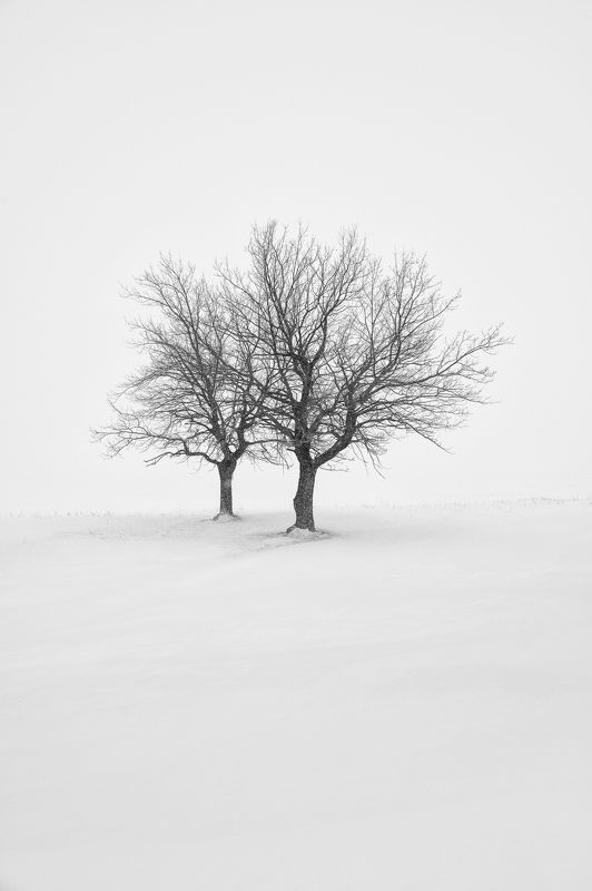 Двоица фото превью