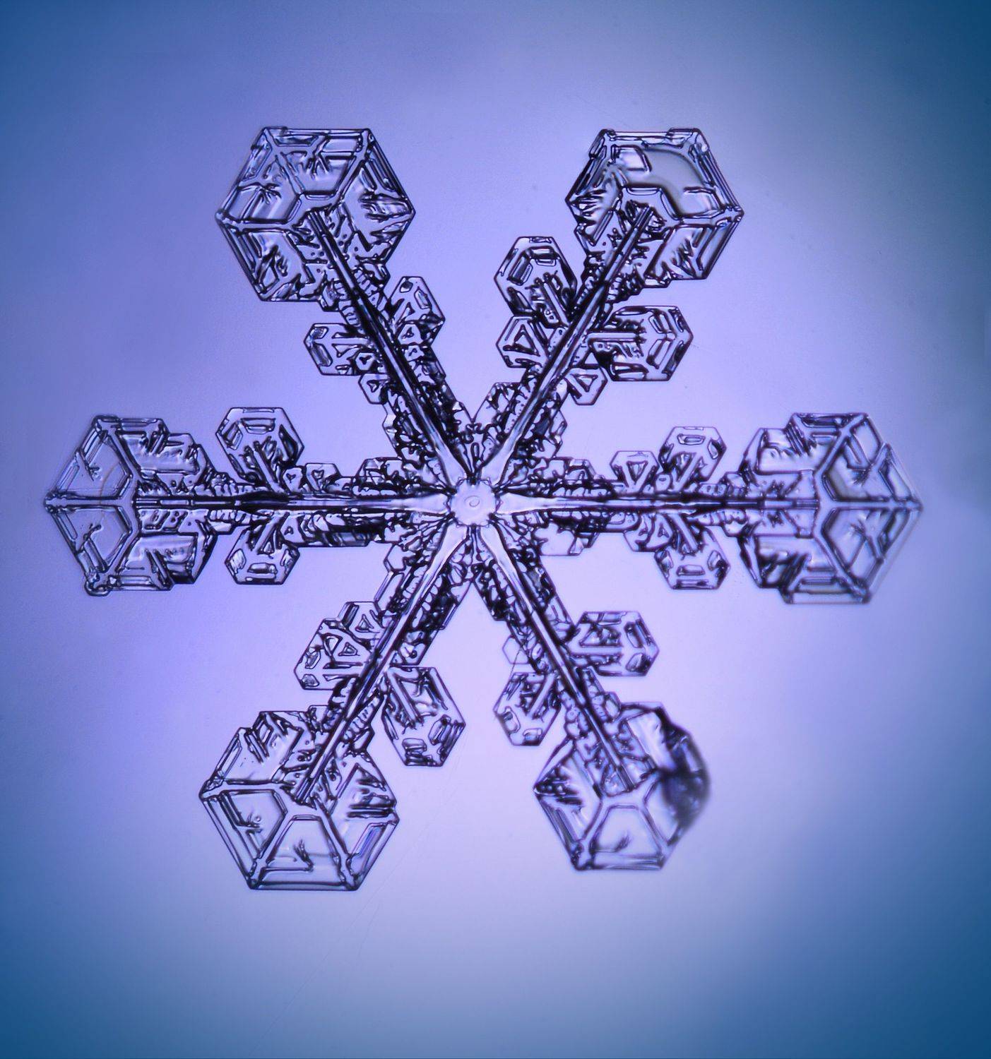 , Борис Риганов