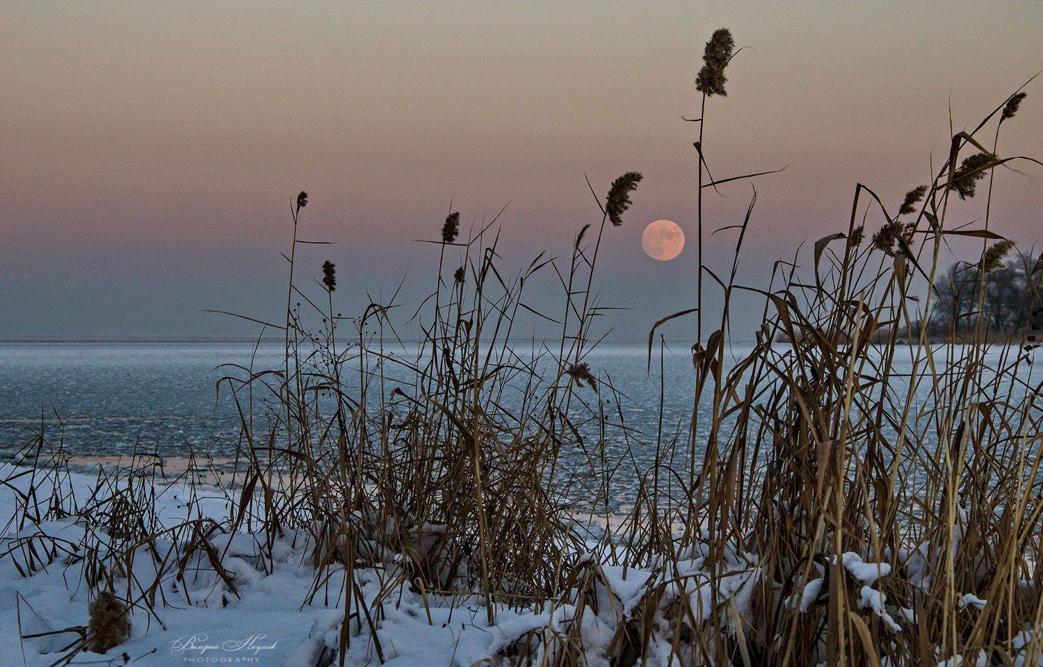 зима, январь, днепр, снег, лёд, луна, камыш, Валерий Наумов