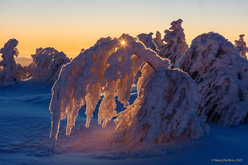 Под гнетом Сибирской зимы