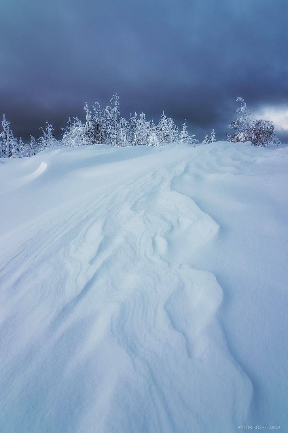 , Антон Кошетаров