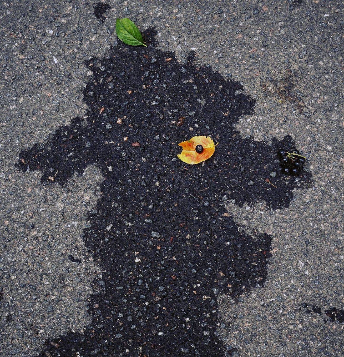 pareidolia, ПОЛУЕВ ИЛЬЯ