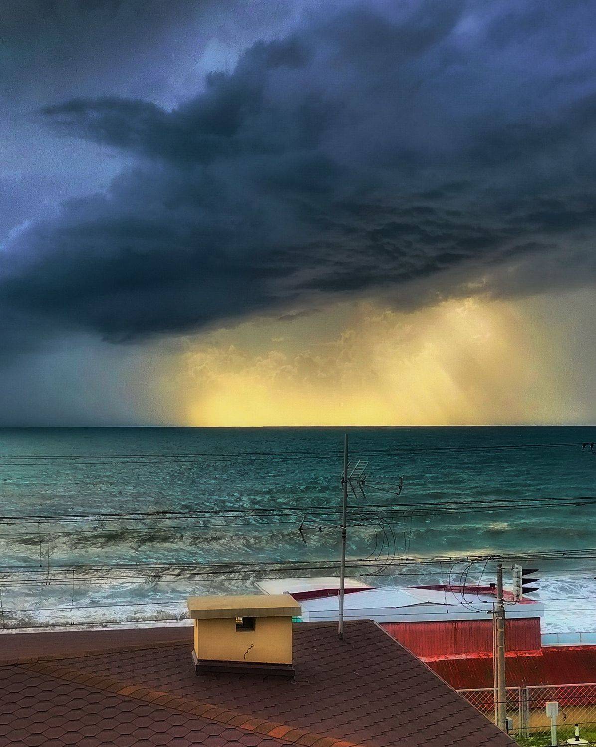 , Михаил Новиков