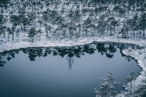 Cold winter landscape frozen snow swamp Kemeri